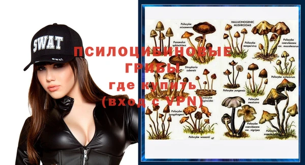 стафф Балахна