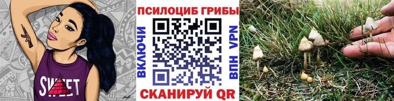 продажа наркотиков  Аркадак  Псилоцибиновые грибы прущие грибы 